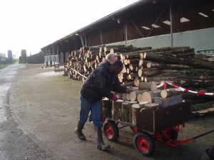 Haardhout